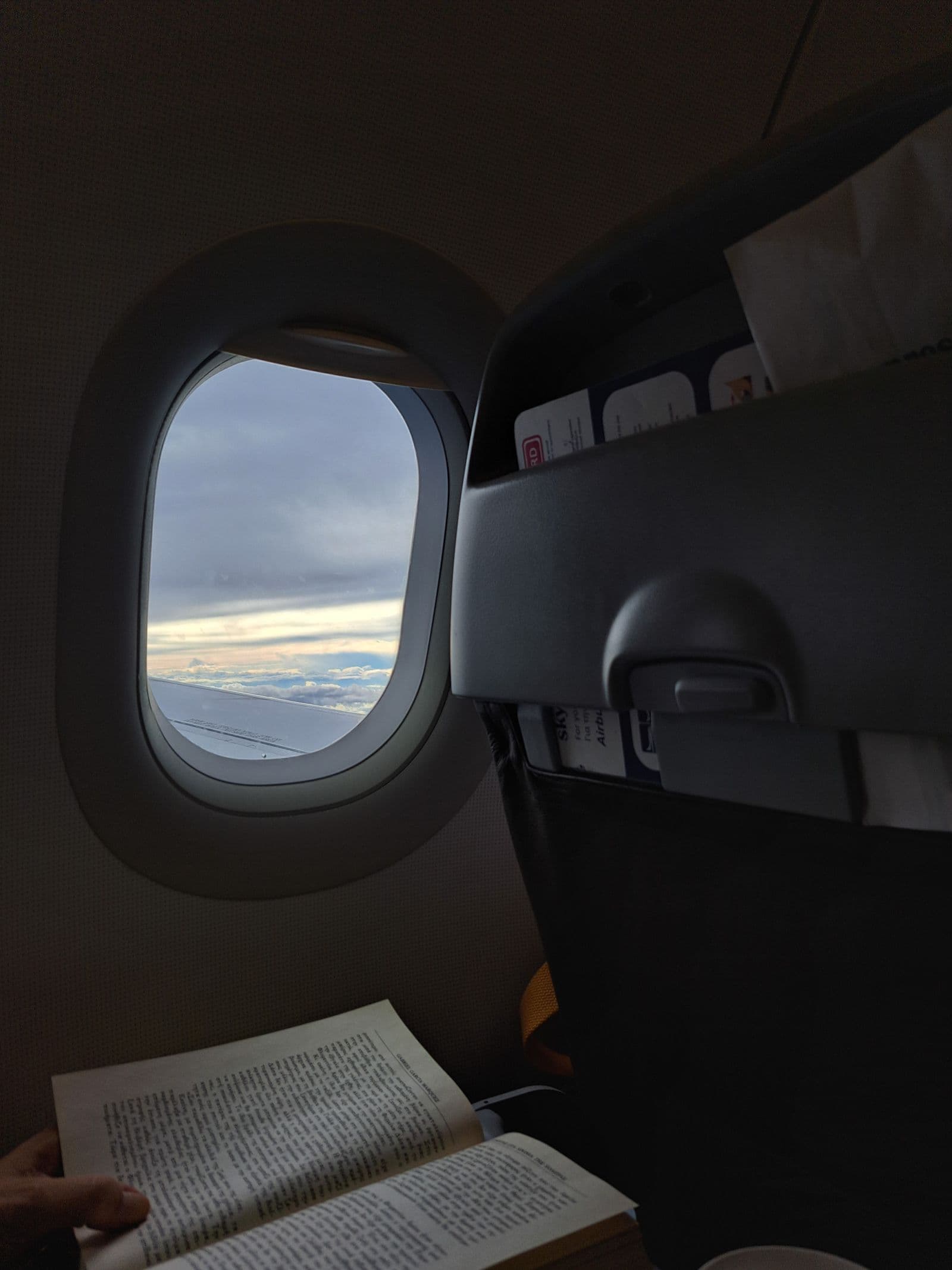 Personne lisant sur une tablette près du hublot d'un avion
